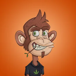 Vector